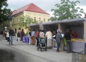 Prezentace Intervenčního centra na Dnu poskytovatelů sociálních služeb v Jindřichově Hradci 26. 6. 2014